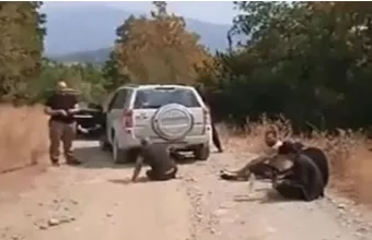 Έβρος μετανάστες