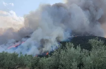 Στείρι