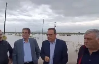 Φάμελλος