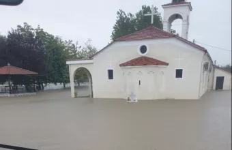 ριζοβουνι