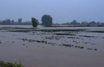 αποκατάσταση γονιμότητας των εδαφών