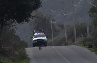 Μεξικό αστυνομία