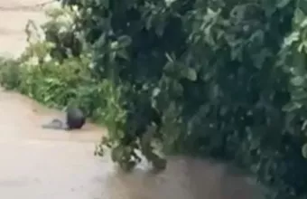 Σκιάθος