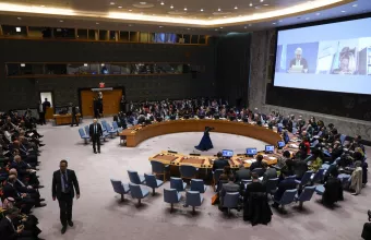 UN Security Council
