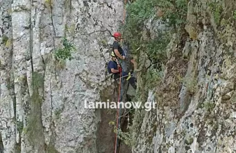 Πυροσβέστες