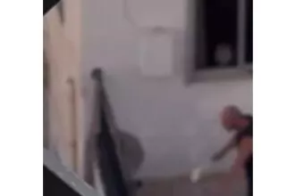 πρόστιμο για κακοποίηση σκύλου