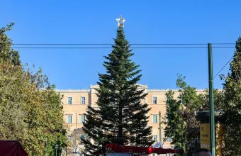 χριστουγεννιάτικο δέντρο
