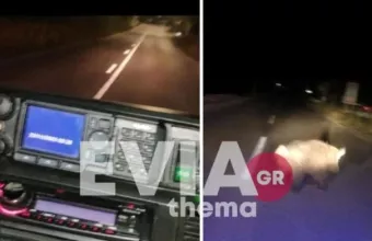 Εύβοια