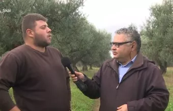 λάδι