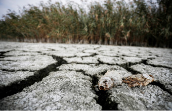 ΟΗΕ: Το φαινόμενο El Niño θα διαρκέσει μέχρι την άνοιξη του 2024 