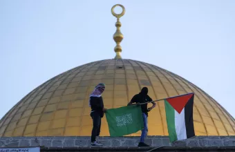 Hamas flags