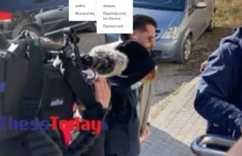 Ημαθία