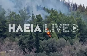 Ηλεια
