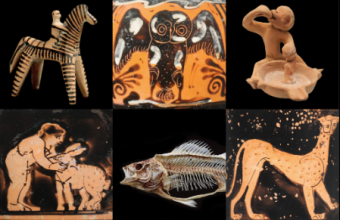 Σεμινάριο και εργαστήρια, «Άνθρωποι και ζώα στην αρχαιότητα» - Πού θα γίνουν