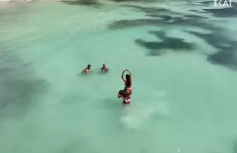 Survivor