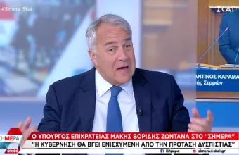 Βορίδης
