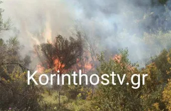 Φωτιά σε δασική έκταση στο Λουτράκι