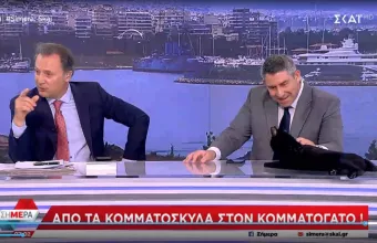 γάτος