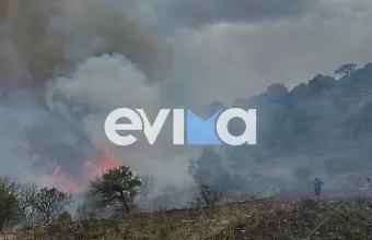 Μεγάλη φωτιά στην Εύβοια 
