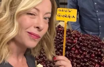 Μελόνι