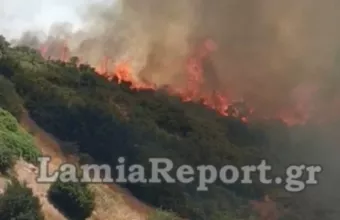 Λαμία: Μεγάλη φωτιά σε εξέλιξη στην Καμηλόβρυση