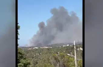 Φωτιά στην Σταμάτα Διονύσου