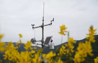 Hellas gold monitoring