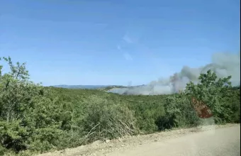 Τρεις συλλήψεις για πυρκαγιές σε Σαλαμίνα, Ραφήνα και Πόρο
