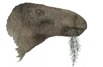 dinosaur