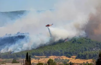 Φωτιά Εύβοια
