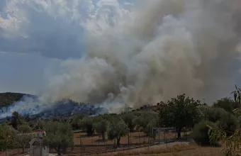Φωτιά στο Συκάμινο Ωρωπού 