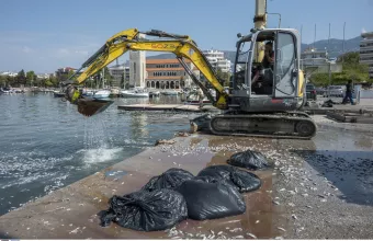 Παγασητικός
