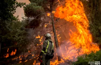 Τουρκία-Σμύρνη: Συνεχίζεται η μάχη με τις φωτιές - Νέα εστία πυρκαγιάς στα Βουρλά