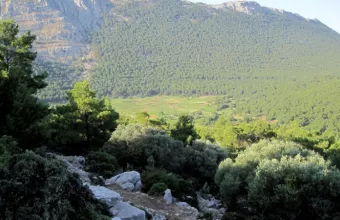 Ρόδος: Νέα εστία πυρκαγιάς εξετάζεται να οφείλεται σε εμπρησμό