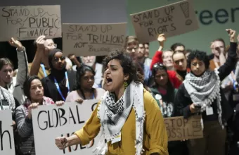 COP29