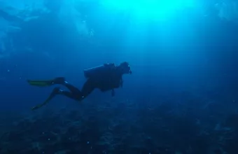 Βουτιά στον ηφαιστειακό βυθό της Σαντορίνης