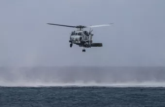 Aegean Hawk