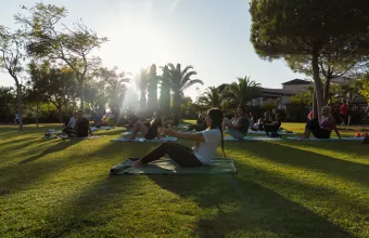 navarino challenge