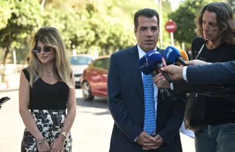 Πλεύρης