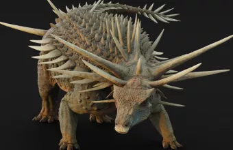 Spicomellus 