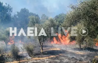 Φωτιά Ηλεία 