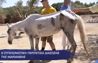 μαριανθη
