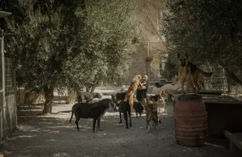 Το ντοκιμαντέρ «Takis» στο Φεστιβάλ CineDoc 2025-26
