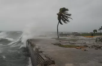 Jamaica