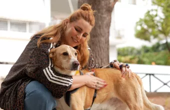 Pet Stories