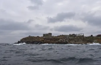 Φιδονήσι