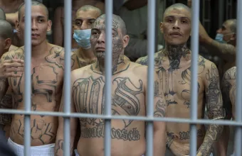 MS-13