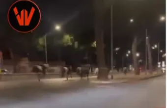 Άλογα στη Ρώμη