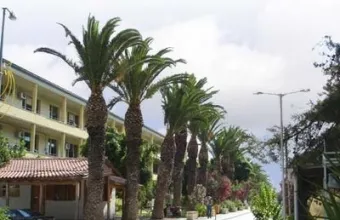 Στην ΜΕΘ 17χρονη με αλλεργικό σοκ