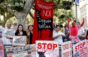 Διαφωνούν και με τις ταυρομαχίες αλλά και με την απαγόρευσή τους